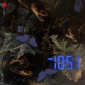 Everything Is Recorded、Maria Somerville、BERWYN - 10:51 PM / THE NIGHT