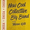 thierno koite、New Cool Collective - Chega