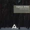 Fedotov、Dranga - Universe For Friends