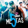 5 Metas