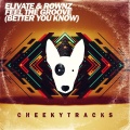 Elivate、Rownz - Feel The Groove
