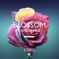 Depdramez - Blossom (Original Mix)
