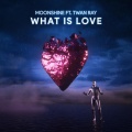 Twan Ray、Moonshine - What is Love