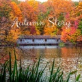 Autumn Story