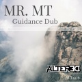 Mr. Mt - Guidance Dub