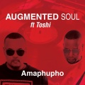Toshi、Augmented Soul - Amaphupho (Extented)(Feat. Toshi)