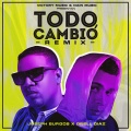 Todo Cambió (Remix)