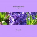 Hunter Forsberg - Hyacinth