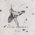 Peter Sandberg - Discretion