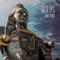 TRCRTPS - Shahra