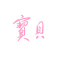 苏轶 - 宝贝