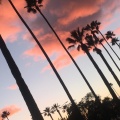 RG - SKY