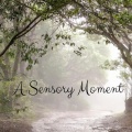 A Sensory Moment