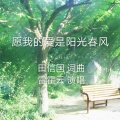 田信国 - 愿我的爱是阳光春风