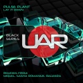 Pulse Plant、Miquel - Lay It Down (MiquelRemix)