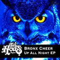 Bronx Cheer - Stayed Up All Night