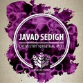 Javad Sedigh - Chemistry (Original Mix)