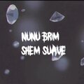 Shem Suave、Nunu Brim - Racing (Explicit)