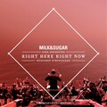 Milk & Sugar、Münchner Symphoniker、Euphonica - Right Here, Right Now