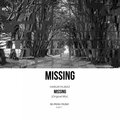Harun Yilmaz - Missing