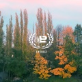 The Sound of Progrezo Records - T H E O K 2