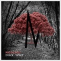 Nicolaou - Black Forest (Original Mix)