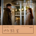 C.A.R.L（칼） - 나의 모든 날 (All of My Days) 《爱的迫降》