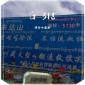 弹琴的骆驼 - 三一八