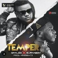 Skales、Burna Boy - Temper (Remix)
