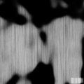 Fades、BBYTERNAL - Torso