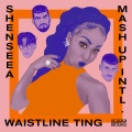 Waistline Ting (Radio Edit)