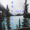 听风诗辰 - 桔梗花开桃花败