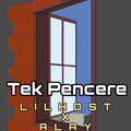 LilHost、罗晓然 - Tek Pencere