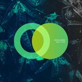 Hugs & Sense - Call It Life