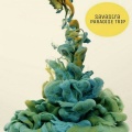 Paradise Trip