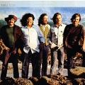 The Turtles - How You Love Me