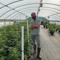 B-Side - Greenhouse