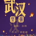 孙琪 - 武汉,坚强!