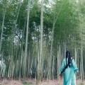竹影聆风 - 绿野仙踪 箫
