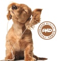 Diamba、Jota Quest - Coisas da Vida