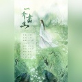陈阳旻 - 一介书生
