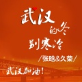 张晗、久荣 - 武汉的冬别寒冷