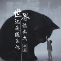 北笙 - 你有车吗 (SoMix)