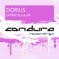 Dorius - Extracellular
