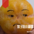 侯小乐 - 我在人间凑数的日子