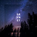 Skynet - Сиять