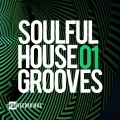 Louie Vega、Caron Wheeler、Louie Vega Caron Wheeler - A New Day (LouieVegaCaronWheelerMix)