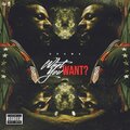 Drama - What You Want (Explicit)