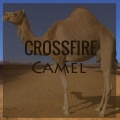 Camel (Explicit)