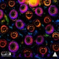 RexQuon - Let Go (Leeches)(Explicit)